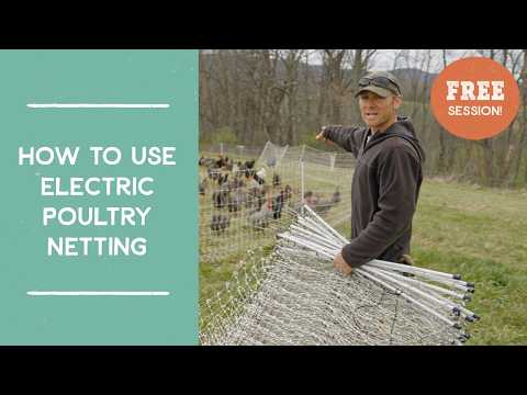 How To Use Electric Poultry Netting: Pasturing Egg Layers | Joel Salatin