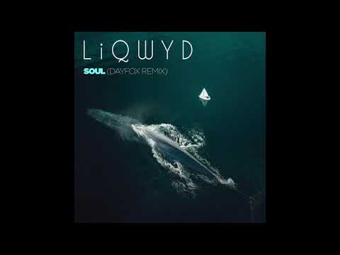 LiQWYD - Soul (Dayfox Remix)