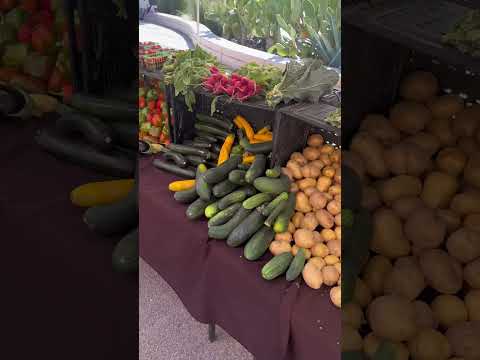 Come with me to the farmers market on campus!