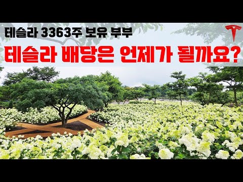 배당금 115배의 충격적인 상승 사례, 테슬라 배당의 최대 변수 하나 !