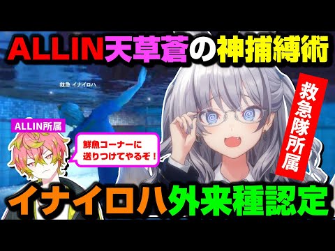 【#ストグラ】花火大会にて天草蒼と追いかけっこするイナイロハ~サカナは自由にALLIN~【切り抜き/のりプロ/稲荷いろは】