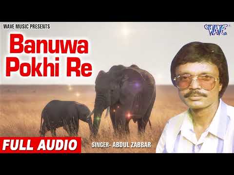 Abdul Zabbar Gowalpariya Geet | Banuwa Pokhi Re | Assamese Gowalpariya Gaan | Aadrer Moina Song