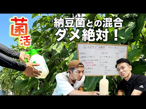 かんたん! 乳酸菌の培養液の作り方・使い方