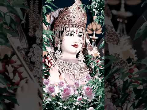 jai mata di video status short video new 2023 video viral video full video