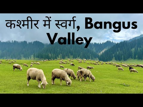 Bungus Valley - The Paradise Of Kashmir | स्वर्ग सी सुंदर कश्मीर की ये घाटी | Part-2| The Young Monk