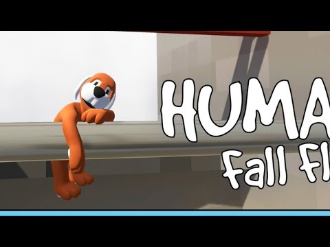 HUMAN FALL FLATE LIVE