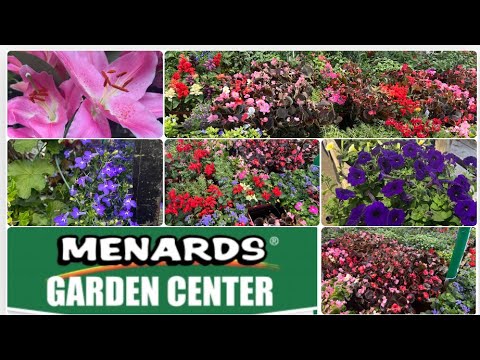 Menards Garden center | A small glimpse of Menards Garden Center | Best Garden Center