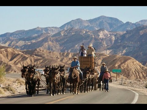 The 20 Mule Team rides again in Death Valley