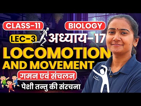 L-3, पेशी तन्तु की संरचना, अध्याय-17, गमन एवं संचलन | Class-11th Biology | कक्षा-11 जीवविज्ञान