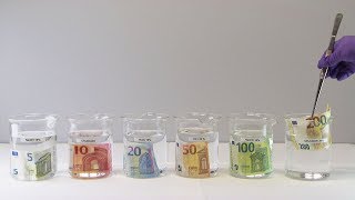 Euro Banknotes - Made to last