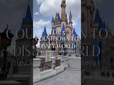 5 Reasons We Love Disney World | #5...