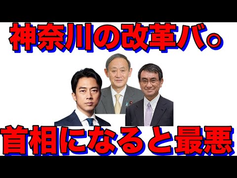 小泉進次郎総理誕生で7000億円かける令和のインパール作戦が止まらなくなる