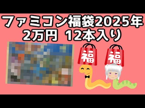 箱説付きファミコン福袋、12本入り2万円を開封！【福袋2025年】