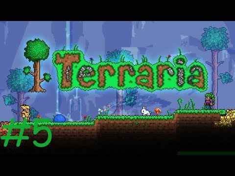 LuxGamer Terraria mam Angelo an WeedyKiller#5🎮