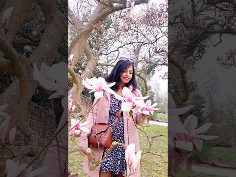 Spring is here 🌸 #spring #beautiful #photoshoot #ytshorts #viral #trending #gulabisadi #shorts