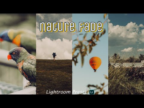 lightroom preset malayalam nature fade lightroom mobile preset free DNG file