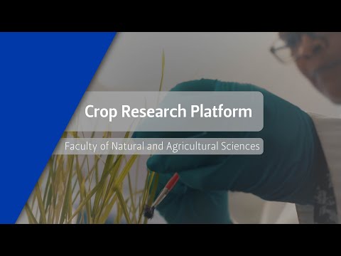 Crop Research Platform