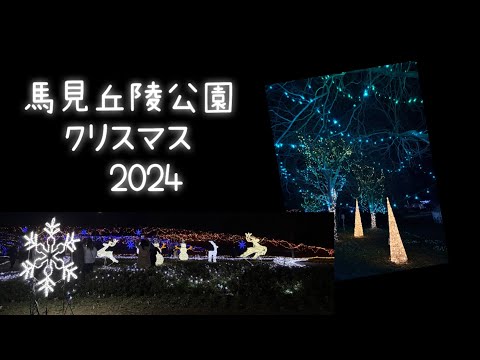 スマホで撮ったよ　馬見丘陵公園　きらめきマルシェ2024