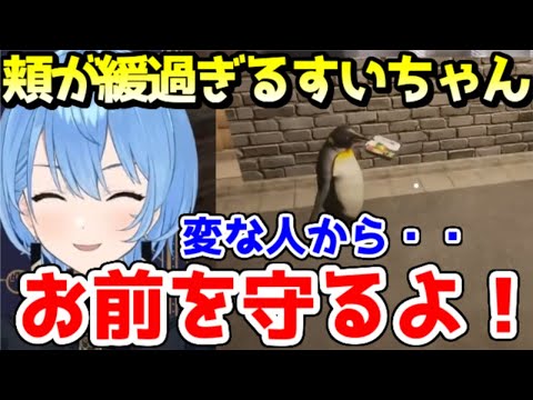 人類に厳しく、ぺんぎんに優し過ぎるすいちゃん【ホロライブ／切り抜き】