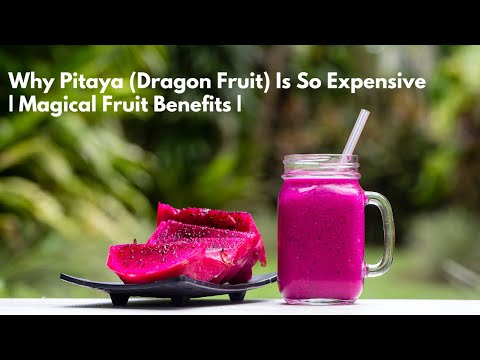 Why Pitaya (Dragon Fruit) Is So Expensive |Magical Fruit Benefits |