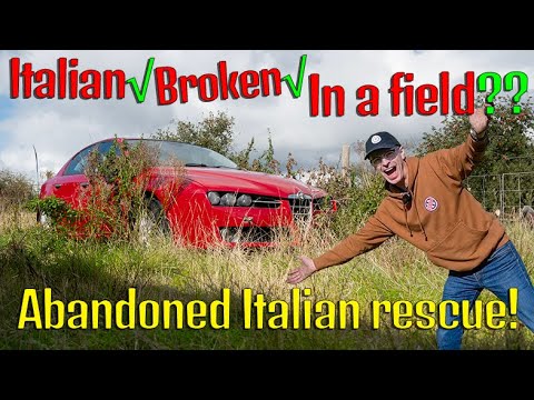 Abandoned in a field! Can I save this dead Alfa?