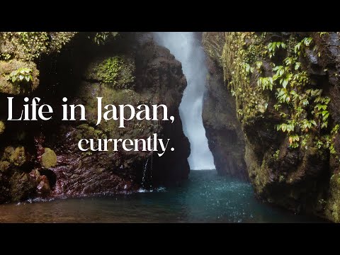 My Everyday Life Living in Osaka, Japan - Stress, Shopping and Overlanding Camping