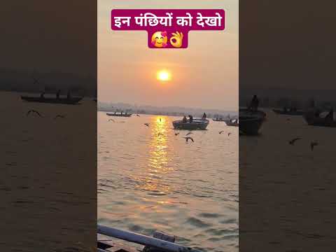 Varanasi chaurasi ghat scene #motivationalvideo #shorts #ganga