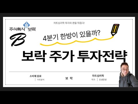 보락 주가 투자전략: 4분기 한방이 있을까?