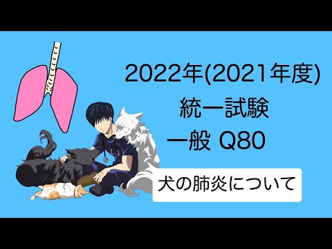 2022一般Q80『犬の肺炎』 愛玩動物看護師国家試験対策