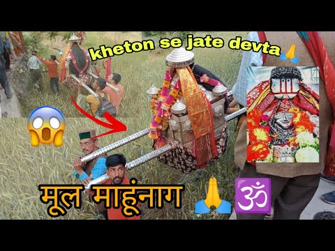 Shri 🕉️mul mahunag kheton se jate hue🕉️ 🙏😳||karsog mandi🌲||rijul Sharma vlogs||