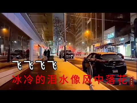 欣 燕 一 首 《 错 误 的 恋 曲 》 旋 律 优 美 句 句 深 情 入 心  悦 耳 动 听。