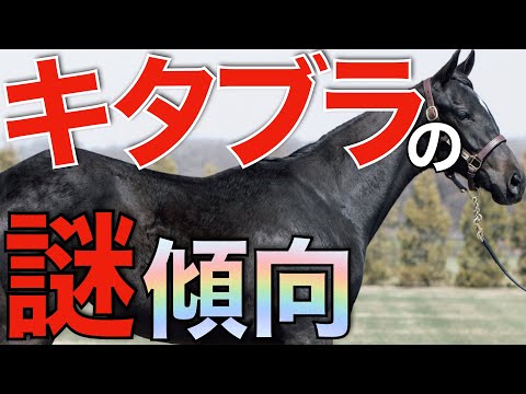 キタサンブラック産駒の青鹿毛は走る？話題の説を徹底検証。