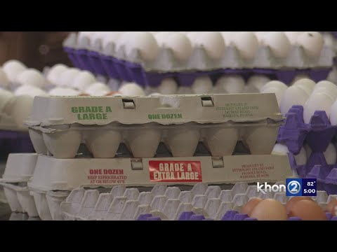 Avian Influenza causing nationwide egg shortage