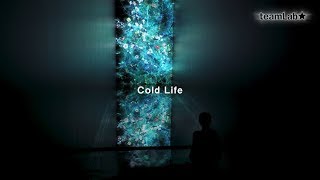 Cold Life / 冷たい生命