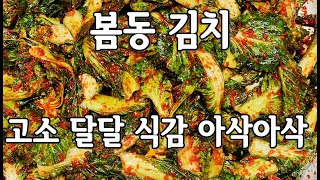 봄동김치맛있게만드는방법