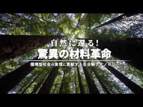 自然に還る！驚異の材料革命　循環型社会の実現に貢献する生分解テクノロジー|ガリレオX第303回