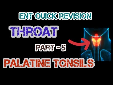 Illustrated Guide to Palatine Tonsils Disorders | Dr. Deen Lectures