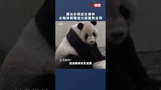 大陆近期将赠台大熊猫？国台办：不实！