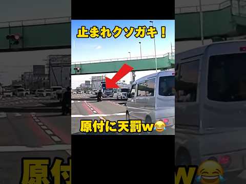 あなたは何個違反を見つけられる？【ドラレコ鉄拳制裁 #shorts 】39 #ドラレコ #危険運転 #衝撃の瞬間 #迷惑運転 #あおり運転 #煽り運転 #暴走 #迷惑 #原付 #パトカー