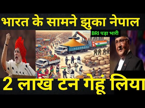 नेपाल की चीन से धोखा खाकर फिर भारत की शरण | भारतीय गेहूं की बड़ी डील ||nepal and bharat relation