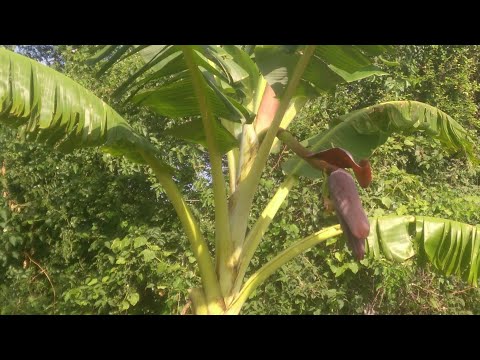 பணம் இல்லை என்றால் பிணத்தை விட கேவலமானவர்கள் ஆகிவிடுகிறோம்