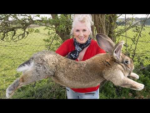 10 Abnormally Large Animals You Won't Believe Exist