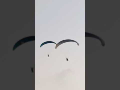 Fly high!!!  PARAGLIDERS