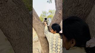 बाजरंगबली🧿| #hanuman #laddugopal #comedy #funny