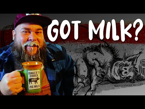 Where Does Pig Milk Come From? (Ink Drawing Time Lapse)