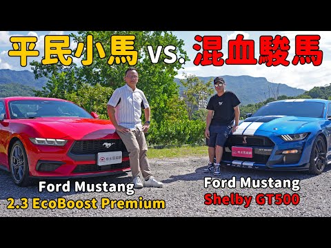 不用190萬就能一圓美國夢， Ford Mustang 2.3 EcoBoost Premium ft. Ford Mustang Shelby GT500【新車試駕】