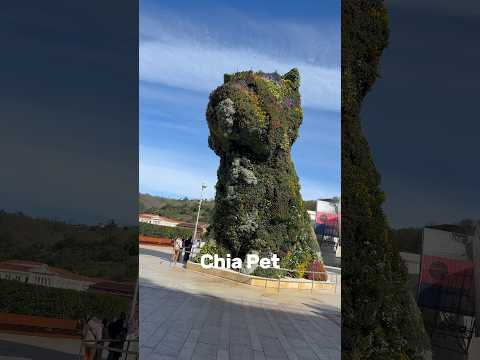 World’s Largest Chia Pet - Is it a dog or a cat? #flowerstatue #Bilbao #Spain