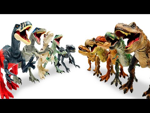 EXTREME Collection Of ALL Jurassic Raptors | Dino Trackers Indoraptor, Atrociraptor & More!