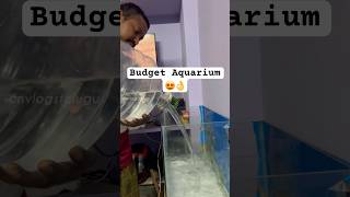 Budget Home Aquarium ready , #telugushorts #vlog #aquarium #goldenfish #dakumaharaj