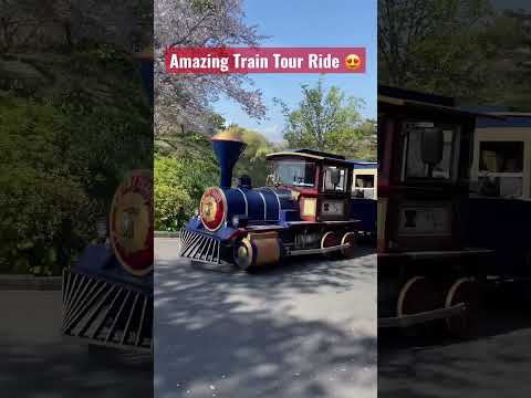 Enjoy the Spring View at Hamamatsu Flower Park #japan #helloamazingjapan #traveljapan #train #shorts